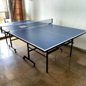 Indoor Table Tennis