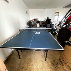 Indoor Table Tennis (15mm)