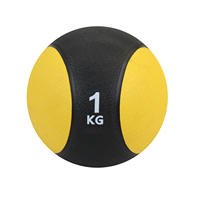 10kg Medicinal Ball