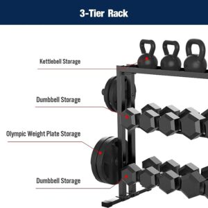 Combo Weights Storage Rack