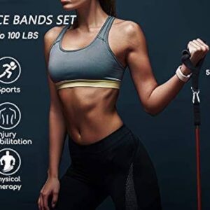 11 in 1 Resistance Band