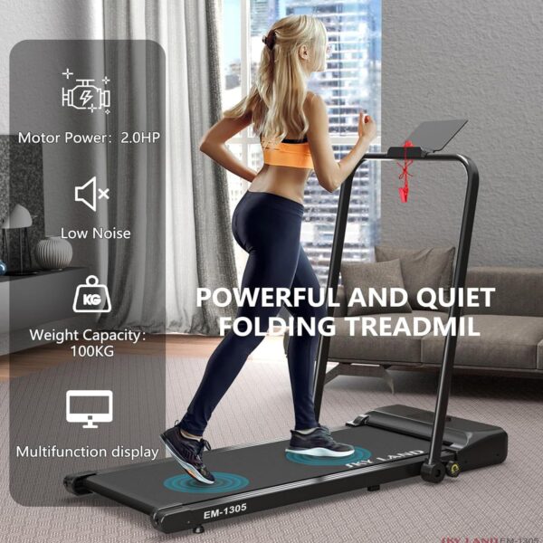 2hp Walking Pad Treadmill (120kg)