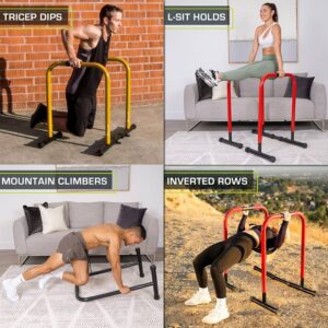 Dip stand/Parallettes