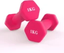 1kg Aerobic Dumbbells Pair