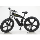 Electric Bicycle