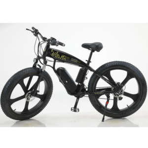 Electric Bicycle