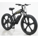 Electric Bicycle