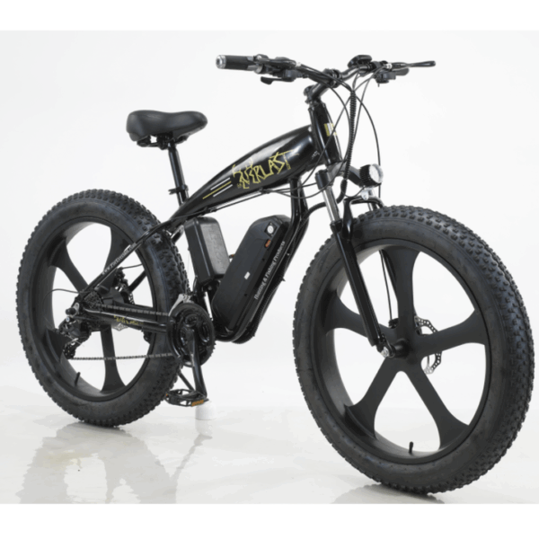 Electric Bicycle