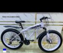 Hero fat tyre bicycle
