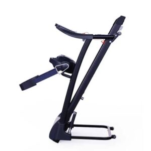 2HP Standard Treadmill (Bodyfit)