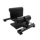 2-in-1 sissy Squat Machine