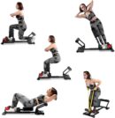 2-in-1 sissy Squat Machine