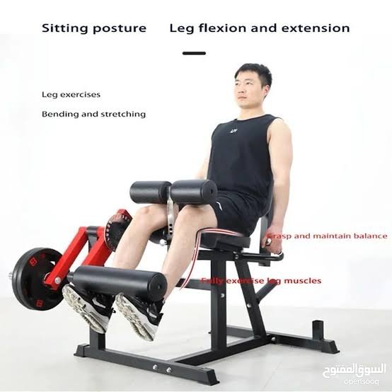 Leg Extension Machine - Image 3