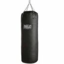 Everlast punching bag
