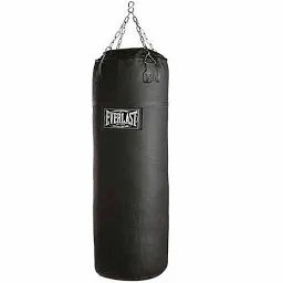 Everlast punching bag