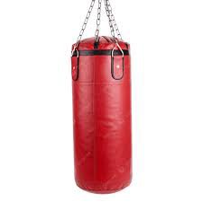 Torso punching bag short - Image 3