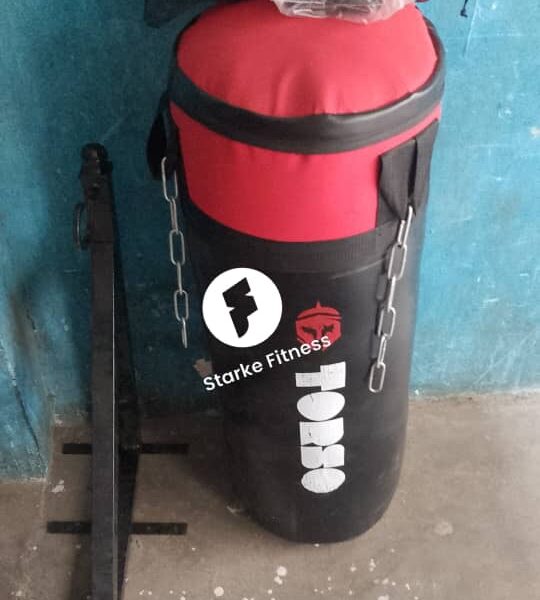 Torso punching bag short