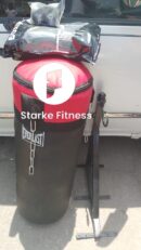 Everlast punching bag