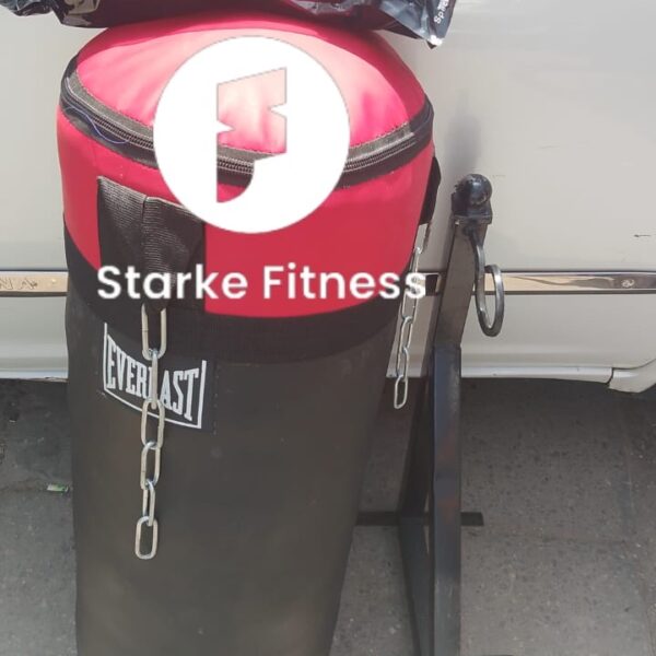 Everlast punching bag