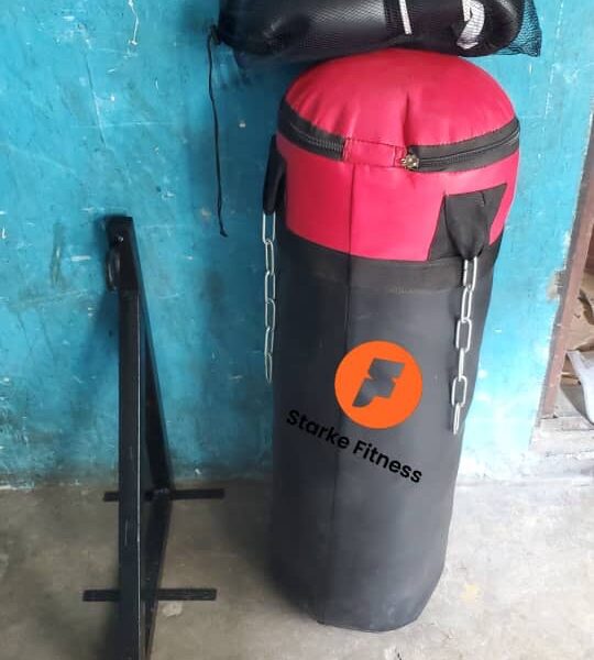 Torso punching bag long