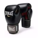 Everlast punching gloves