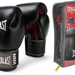 Everlast punching gloves