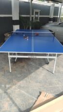 Indoor Table Tennis