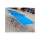 Indoor Table Tennis