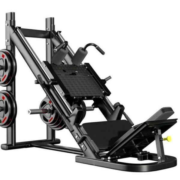 2 in 1 Commercial leg press
